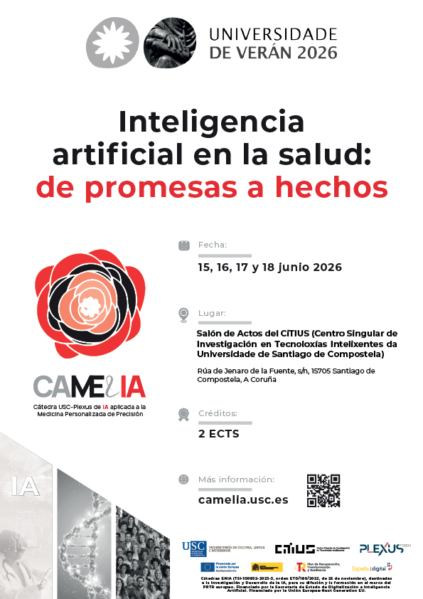 CURSO DE VERANO